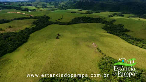 INICIO INICIO.00_00_22_24.Quadro004_94a5206067707356867a1ca9741834ce901b04a3.jpg